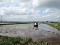 �Ŀ�����Ǥ��� 