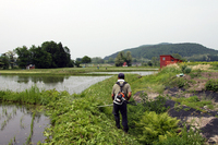 �𴢤����� 