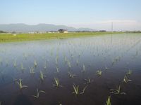 �Ŀ�����λ���ޤ����� 