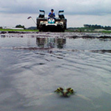 ���������ˡ��������� 