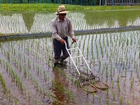 ���󥰥饹�򤫤��ʤ��������������ĥ��� 