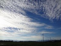 �߱��Ϥ�����롩�� 