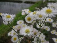 �ϥ른���� 