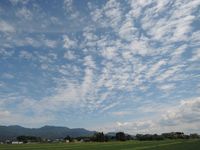 �����α��Ϥ������� 