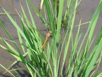 ���������ȥ�� 