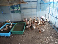 ������ñۤ���λ 