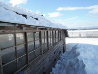 �㲼�����Ϥ��Ǥˣ����ܡ� 