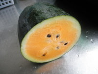 ����������꤯���褿�ʡ� 