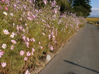 �����⥹���� 