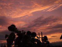 ���夬���ͼ�Ƥ� 