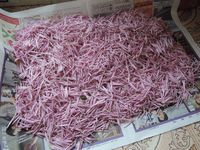 ���ѵơؤ�äƤΤۤ��١�����̣�ФǤ��� 