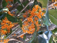 ���������Ǥ� 