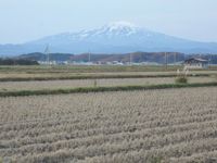 Ļ�����δ��� 