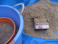 ����æ��Ǥ��� 