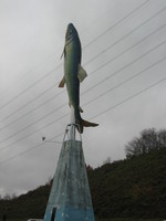 �Ǥä������Υ�˥���Ȥ�������Ω�ġ� 