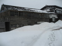 �����㤬�򤱤Ƥ����ޤ��� 