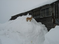 ����ۤ��Ѥ��Ȥϡ� 