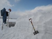 �������������� 