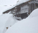 �������뤥�� 