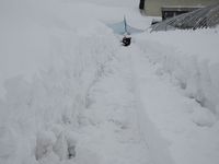 �����᡹��ȳ�Ʈ�� 