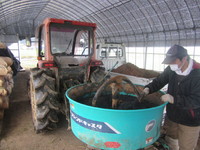 ��򶴤ޤʤ��褦�ˡ� 