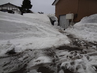 �ޤ��㤬����ʤǤ��衣 