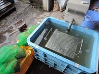 ����β������ 