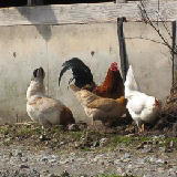 ���⤹������ 