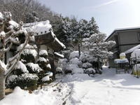 㵤ڻ㲹³Ѥᤫä褦Ǥ 