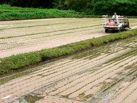 ��ޥ�����Ŀ���ľ�� 