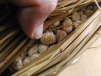 ���ĤȤʤäȤ� 