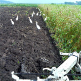 ���ޤä����ޥ��� 