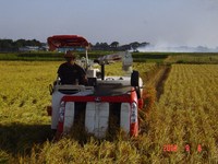 ����Х���ǰ𴢤� 