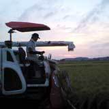 �������ðŤˤʤ�ޤǴ���ޤ��äƤޤ��� 