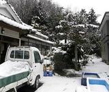 �����㵤�� 