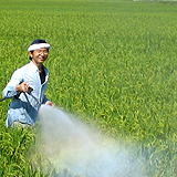 �������ƺ����֤���ħ�Ǥ��� 