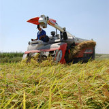 ȴ����褦���Ķ�����ΰ𴢤ꡡ������������ʤ��椯�ʤ���С� 