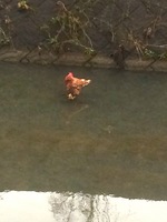 �ܤ����ä������� 