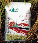 有機JAS認証 越中富山のこしひかりかぐや姫